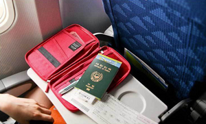 Multi-Compartment Travel Organizer (Wrist Strap Included)