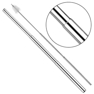 Telescopic Stainless Steel Straw Kit