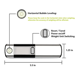 Multifunction Luggage Scale ( with Measuring Tape )