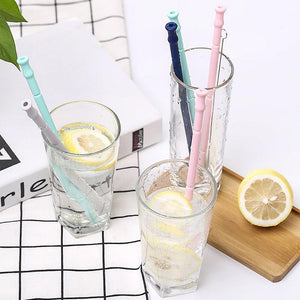 Collapsible Silicone Straw Kit