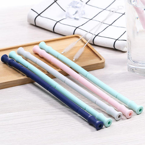 Collapsible Silicone Straw Kit
